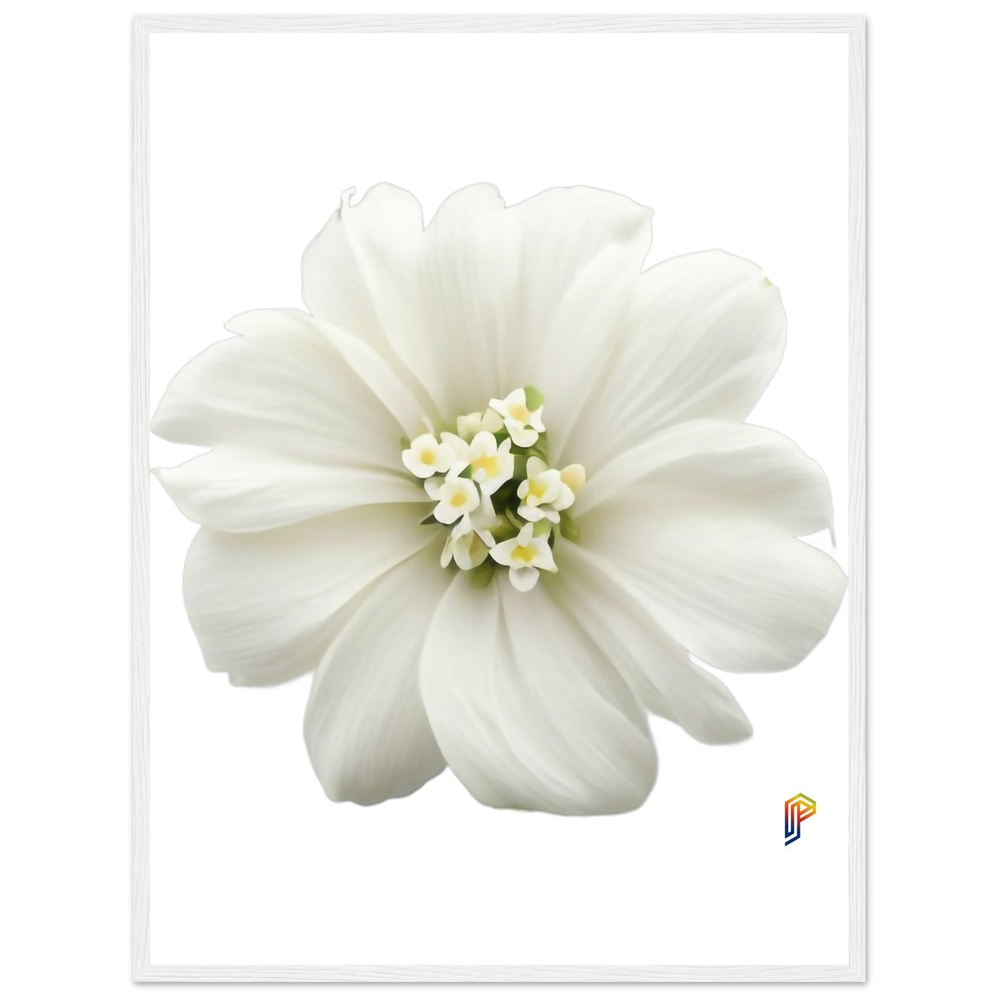 Philippine Sampaguita on Premium Matte Paper Wooden Framed Poster