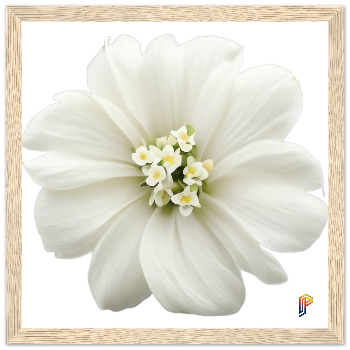 Philippine Sampaguita on Premium Matte Paper Wooden Framed Poster