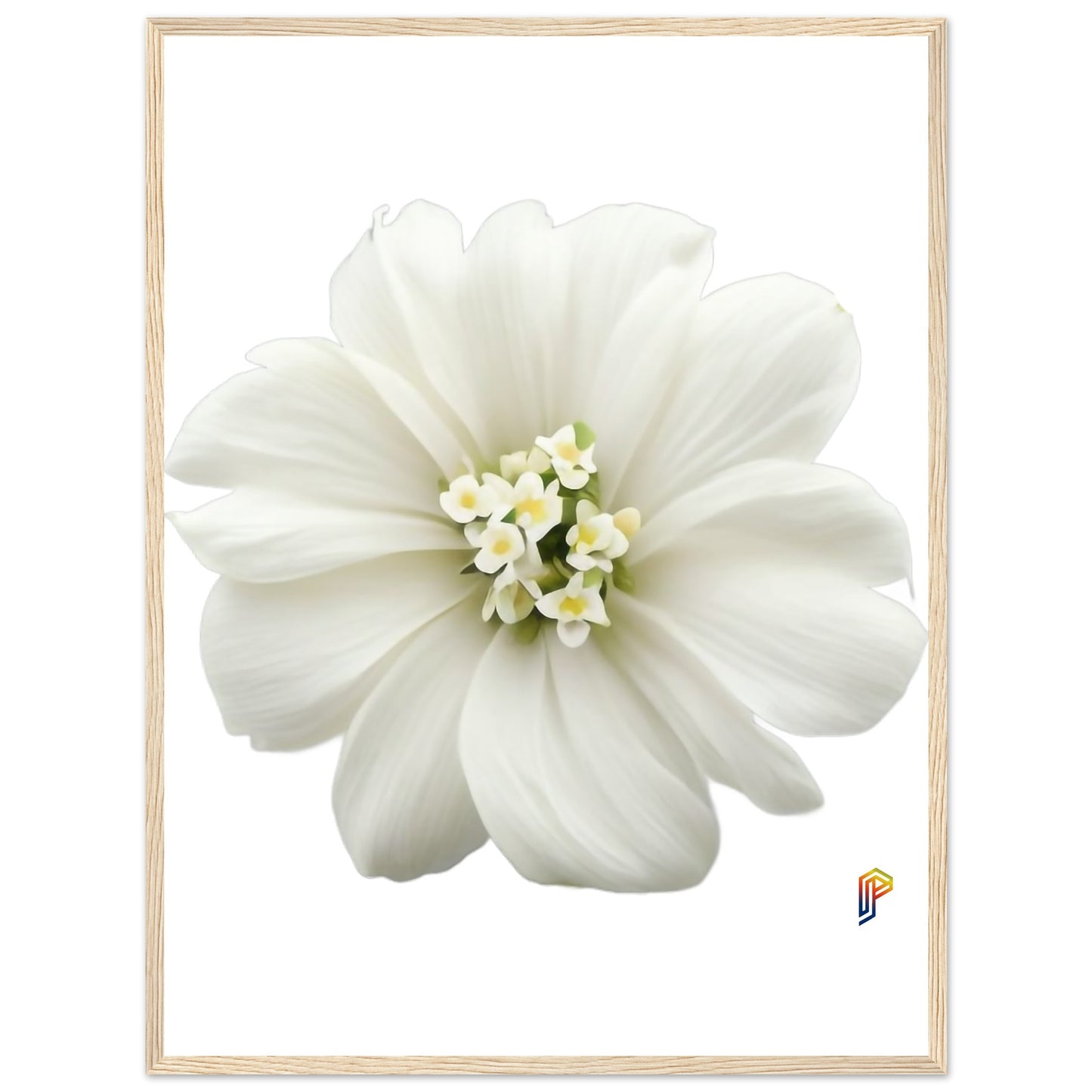 Philippine Sampaguita on Premium Matte Paper Wooden Framed Poster